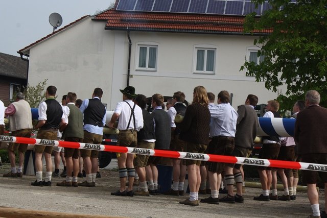 Maibaum 2013